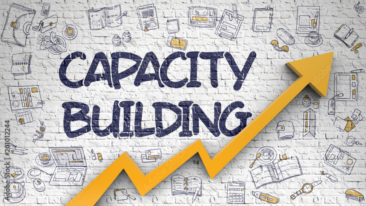 img-of-Capacity Building Programs